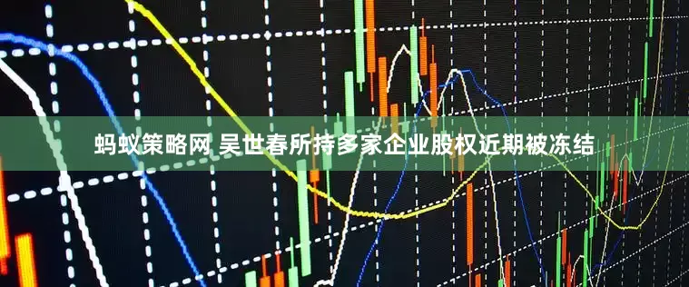 蚂蚁策略网 吴世春所持多家企业股权近期被冻结