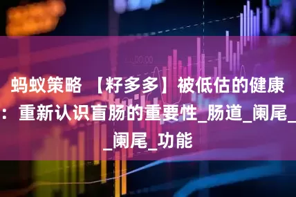 蚂蚁策略 【籽多多】被低估的健康卫士：重新认识盲肠的重要性_肠道_阑尾_功能