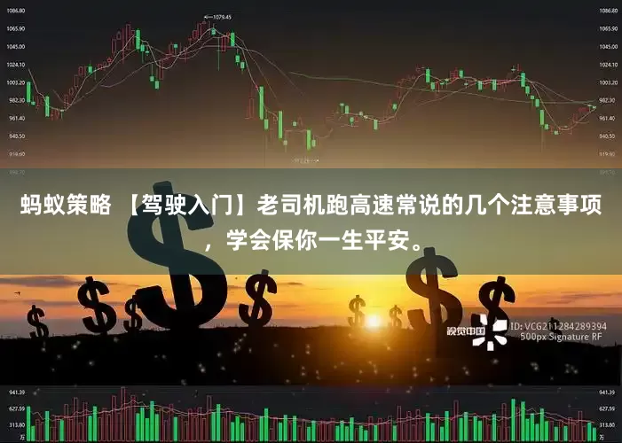 蚂蚁策略 【驾驶入门】老司机跑高速常说的几个注意事项,学会保你一生平安。