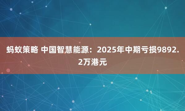 蚂蚁策略 中国智慧能源：2025年中期亏损9892.2万港元