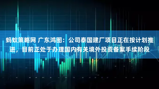 蚂蚁策略网 广东鸿图：公司泰国建厂项目正在按计划推进，目前正处于办理国内有关境外投资备案手续阶段